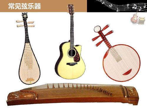 粤教版四年级上册科学 设计与制作我们的小乐器